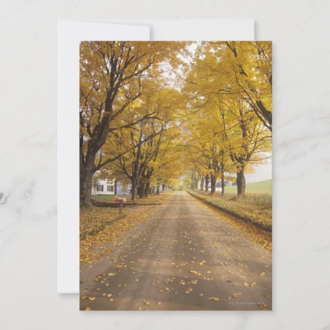 Una carretera rural en Peacham (Anverso)