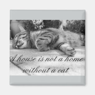 ¡Una casa no es un hogar sin un imán del gato!