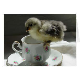 Una chica en una taza de té