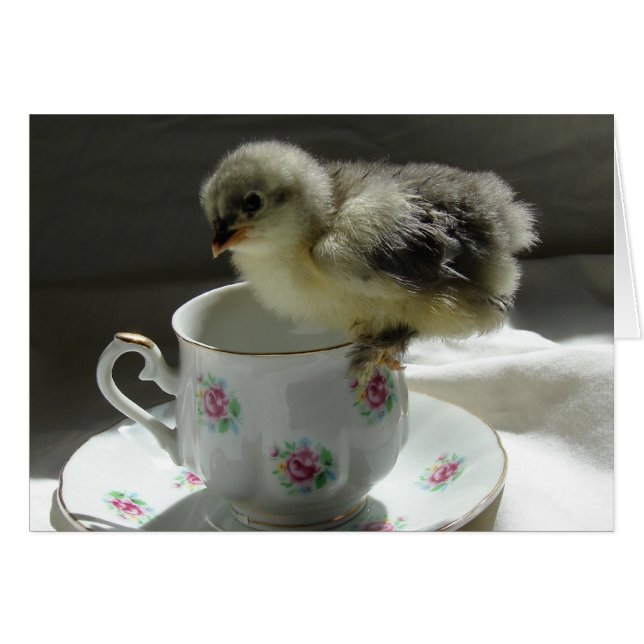 Una chica en una taza de té (Anverso (Horizontal))