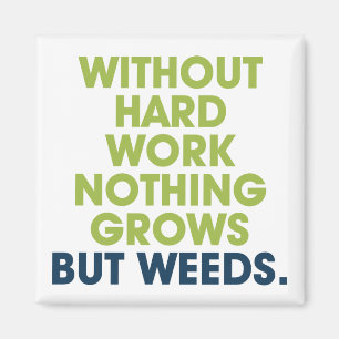 Una cita en el imán