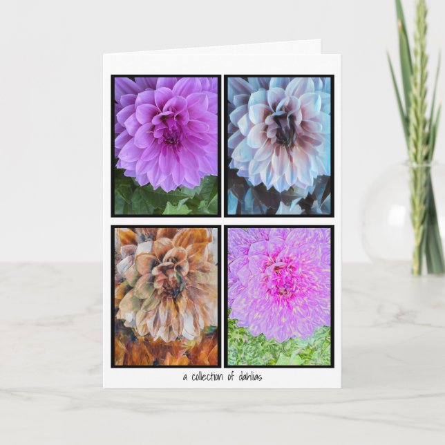 Una colección de tarjetas Dahlias (Anverso)