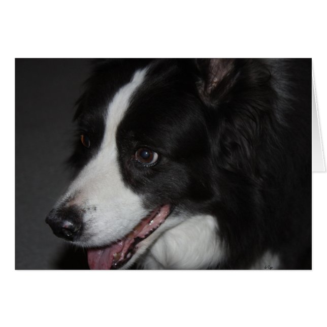 Una dama (Anverso (Horizontal))