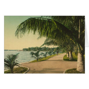 Una diversa Florida