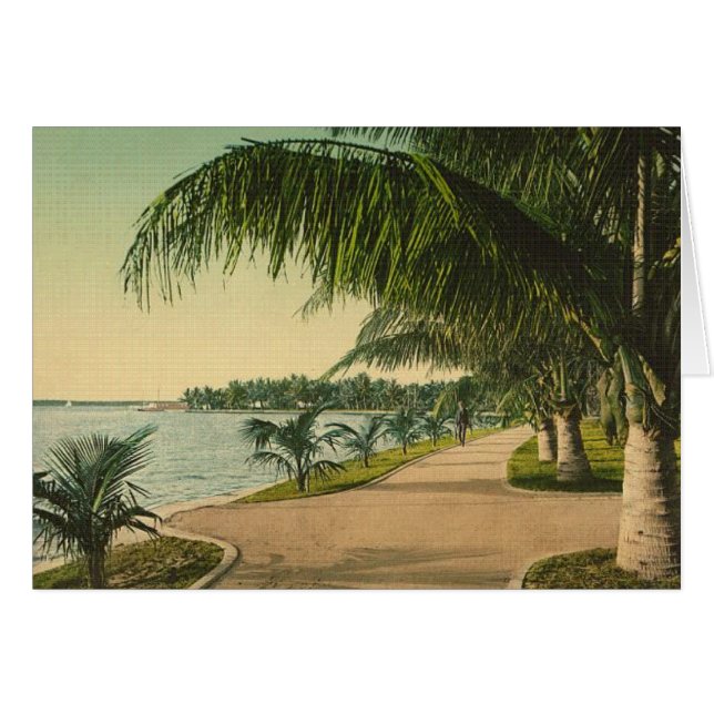 Una diversa Florida (Anverso (Horizontal))