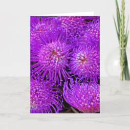 Una divertida tarjeta de flor divertida