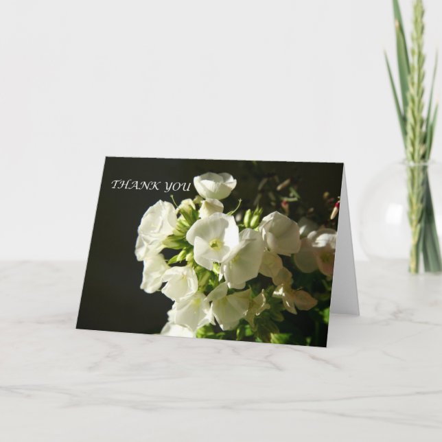 Una elegante tarjeta de agradecimiento a Garden Ph (Anverso)