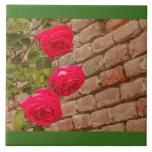 una enredadera de rosas en un azulejo de pared de 