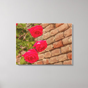 una enredadera de rosas en un lienzo de pared de l