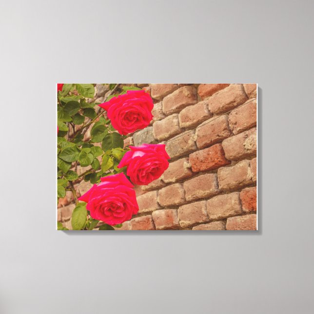 una enredadera de rosas en un lienzo de pared de l (Anverso)