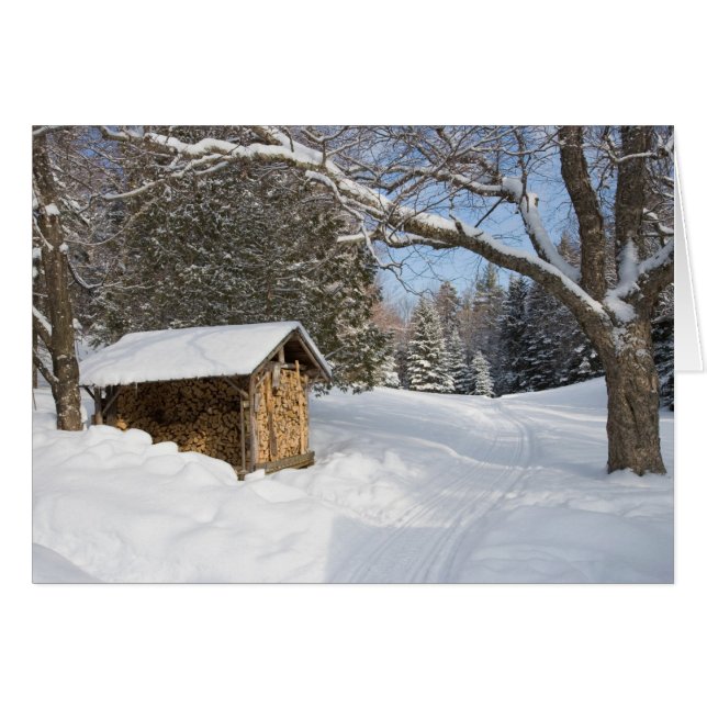 Una escena nevada en el Pequeño Lyford Pond de la  (Anverso (Horizontal))
