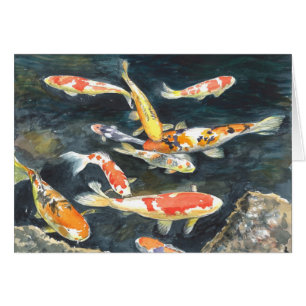 Una escuela de los pescados de Koi en una charca