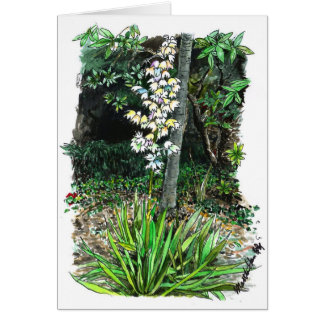 Una esquina de un jardín