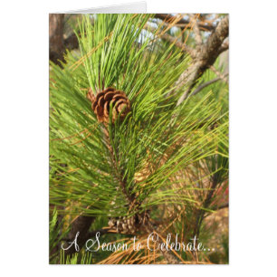 Una estación a celebrar…