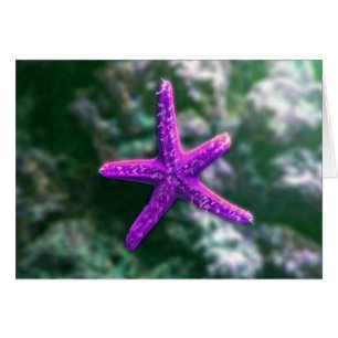 Una estrella morada
