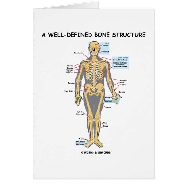 Una estructura bien definida del hueso (esqueleto (Frente)
