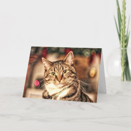Una feliz pequeña tarjeta del gatito del navidad