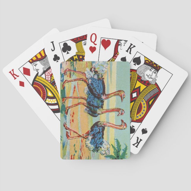 Una Flamboyance de Flamencos Jugando Cartas (Reverso)
