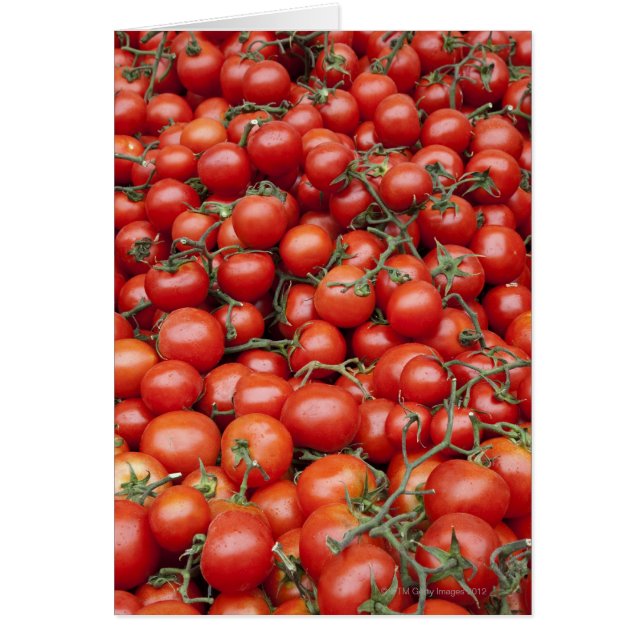 Una gran cosecha de tomate en un puesto en el merc (Frente)