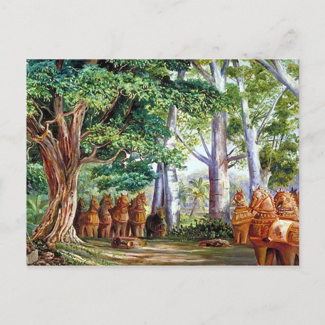 Una gran postal de árbol tamarind (Anverso)