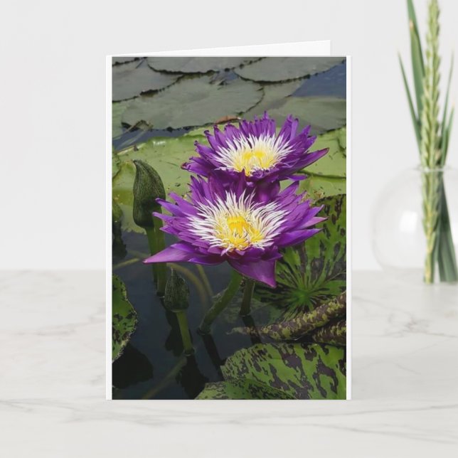 UNA "HERMOSA FLORES" PARA LA TARJETA DE "CUMPLEAÑO (Anverso)