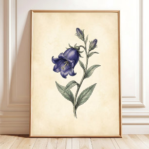 Una impresión artística botánica vintage