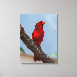Una impresión en lienzo estirado de 18 x 24 Cardin