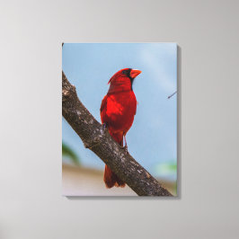 Una impresión en lienzo estirado de 18 x 24 Cardin