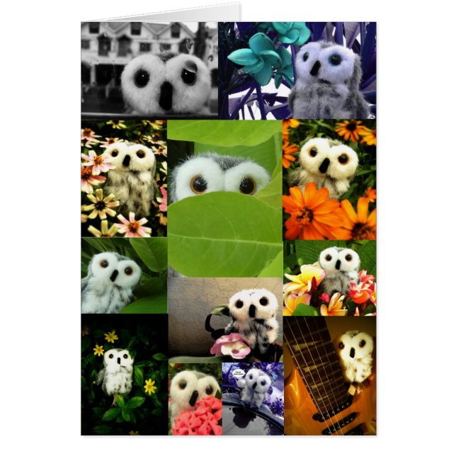 Una lechuza llamada Ophelia (Frente)