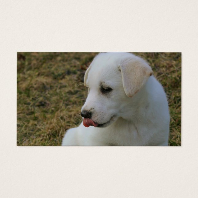 Una lengua de cachorros (Frente)