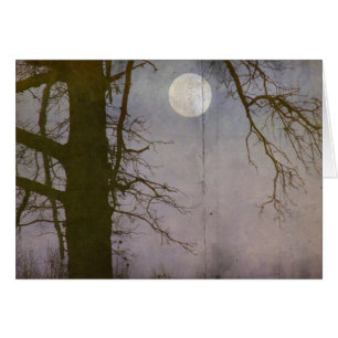 Una luna llena