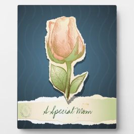 Una mamá especial, placa