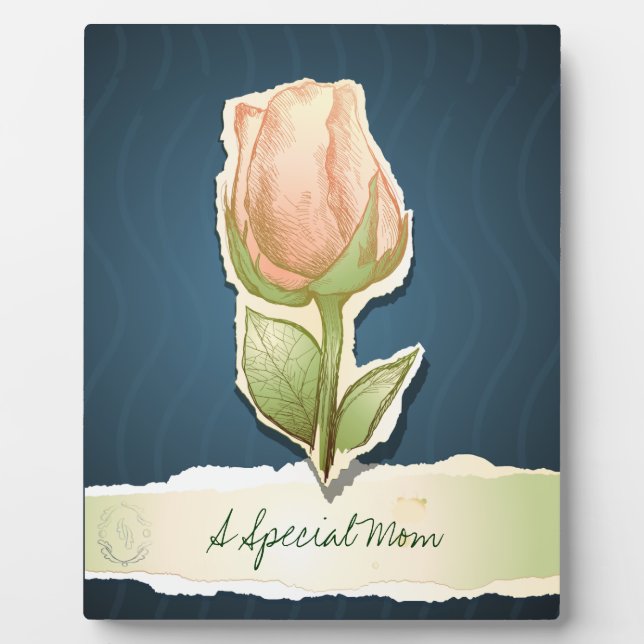 Una mamá especial, placa (Frente)