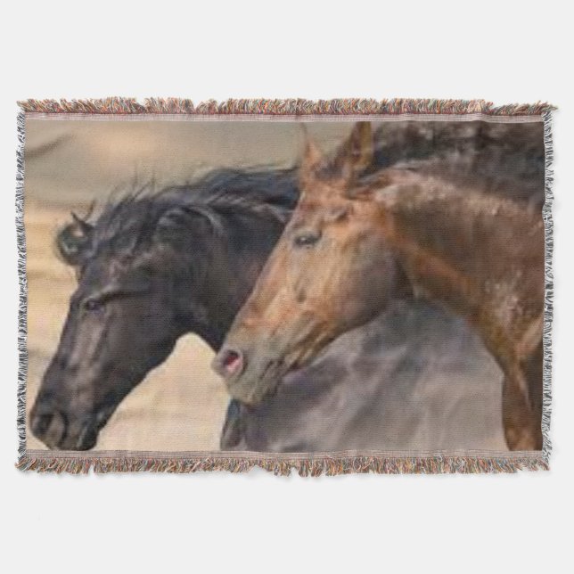 Una manta salvaje y libre para el Sherpa (Anverso)