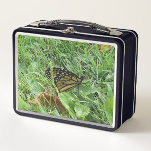 Una mariposa monarca