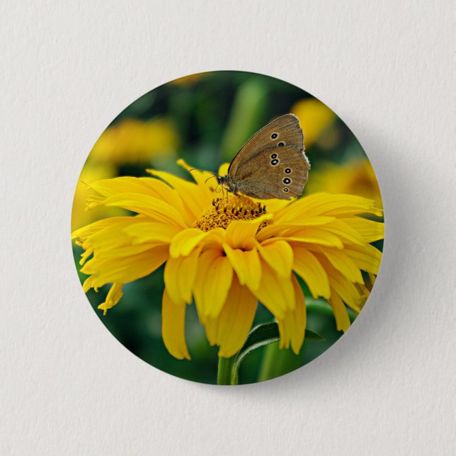 Una mariposa sobre un botón de flor amarillo (Anverso)