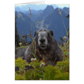 Una marmota en el paraíso en el Parque Nacional Mo