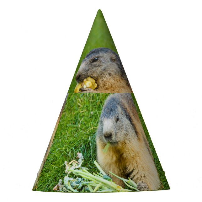 una marmota sociable con sombrero de fiesta (Anverso)