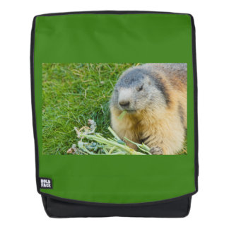 una marmota sociable en mochila para adulto + cara