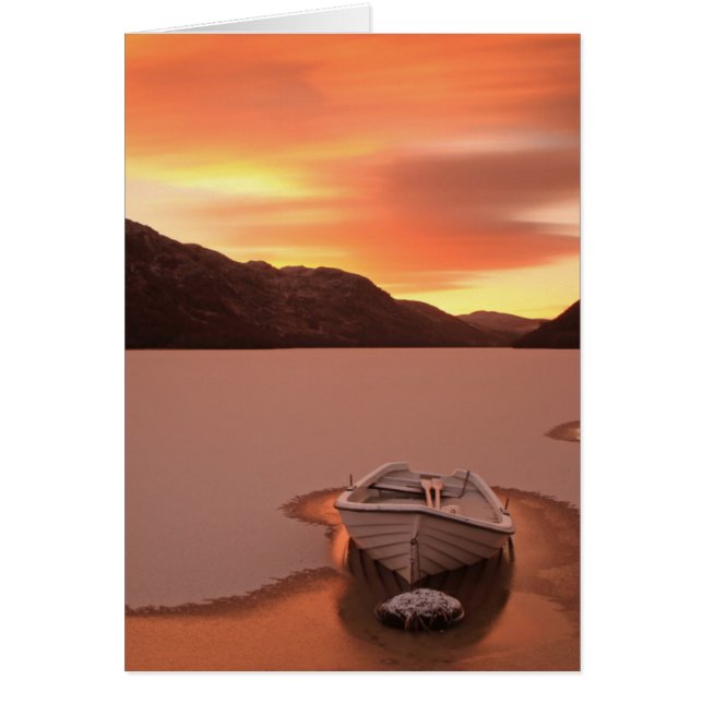 Una mirada congelada | Ruthven, Reino Unido (Frente)