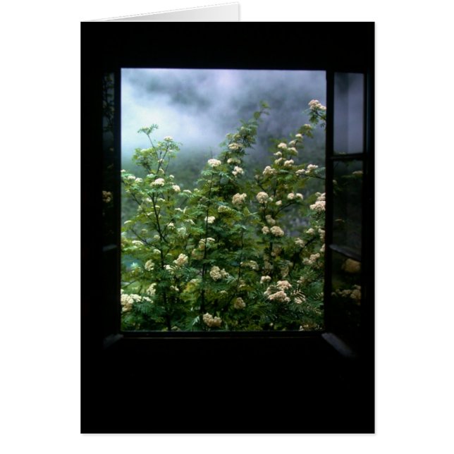 UNA MUJER EN AMOR (Frente)