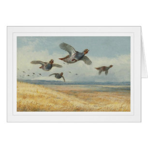 Una nidada de la perdiz