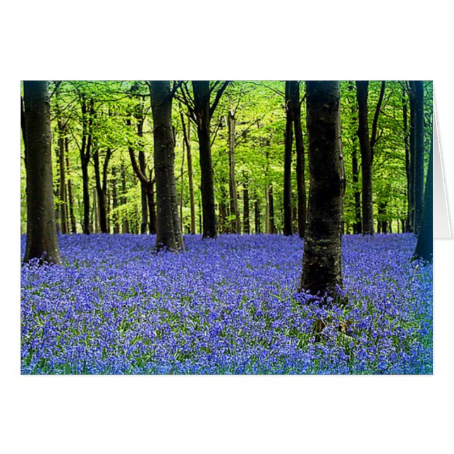 Una Niebla De Azul (Anverso (Horizontal))