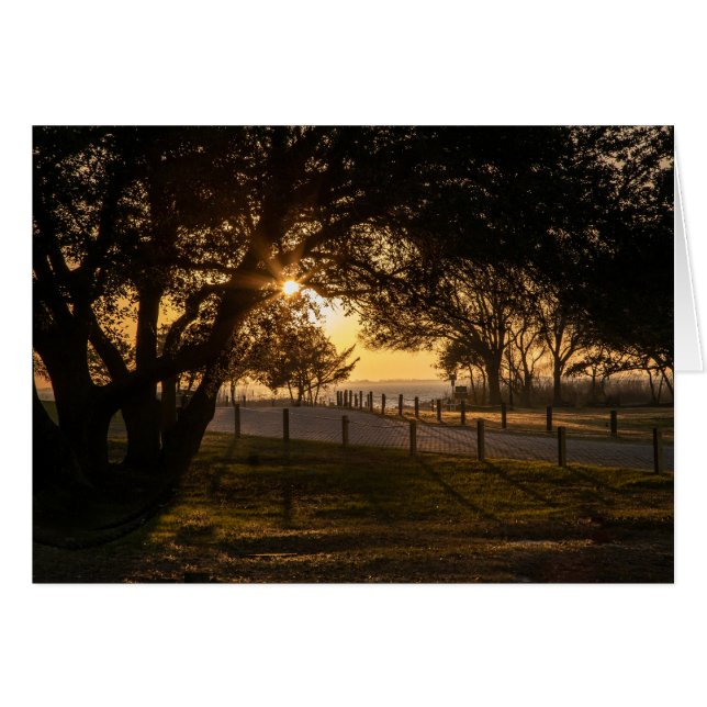 Una Noche En Whalehead (Anverso (Horizontal))