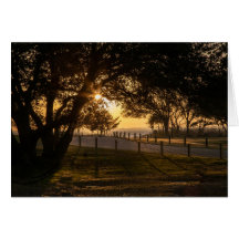 Una Noche Espectacular En Whalehead