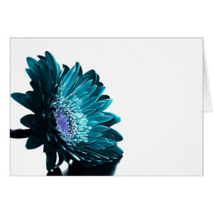 Una noche iluminada por la luna