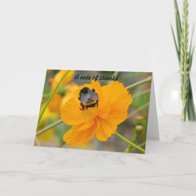 Una nota de agradecimiento (Anverso)