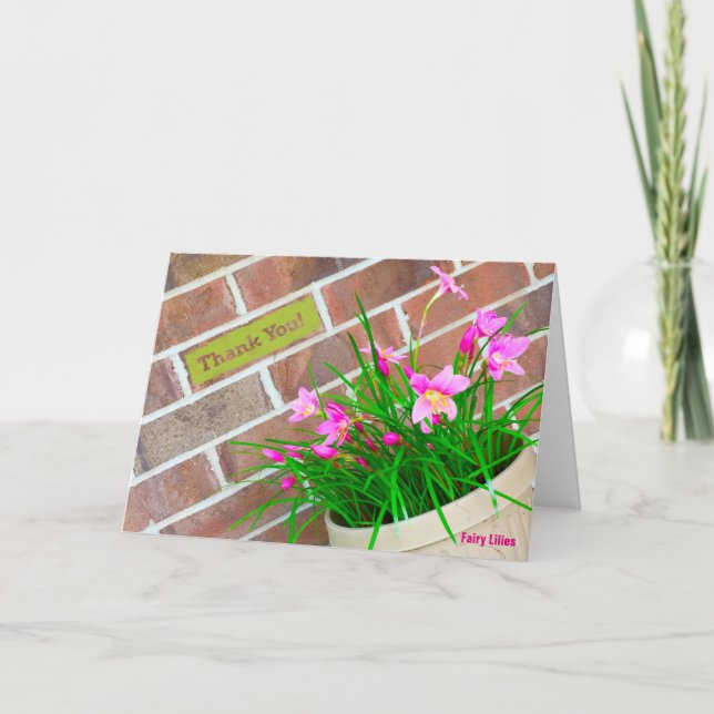 Una Nota De Agradecimiento De Lirio De Hadas (Anverso)