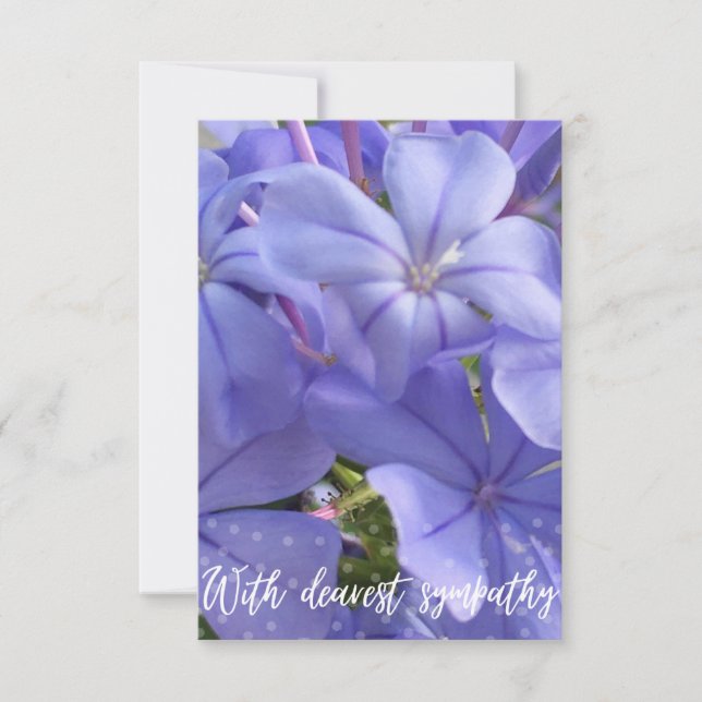 Una nota de Z con la tarjeta "con la más querida c (Anverso)