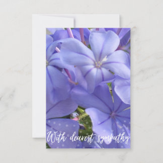 Una nota de Z con la tarjeta "con la más querida c